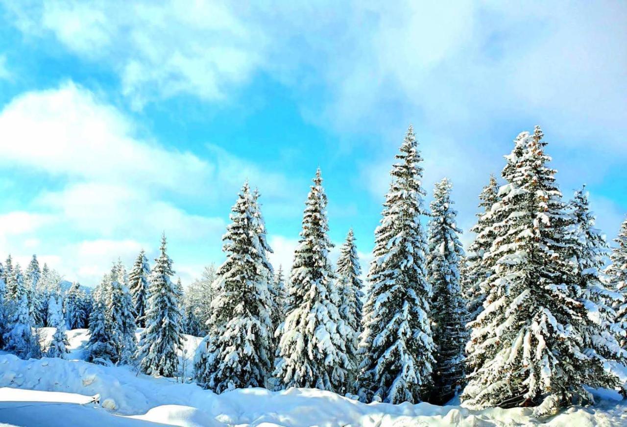 Jahorina 7Lux Apartamento Exterior foto