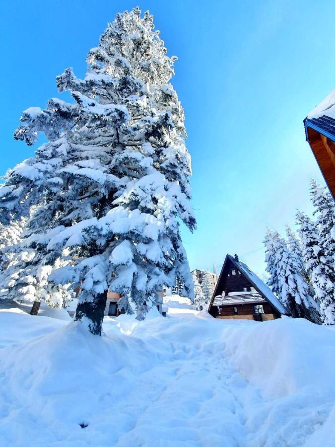 Jahorina 7Lux Apartamento Exterior foto